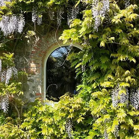 公寓 Spacious With Garden *