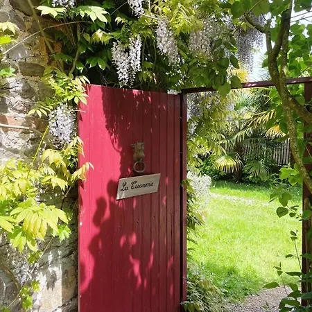 公寓 Spacious With Garden Aumeville-Lestre