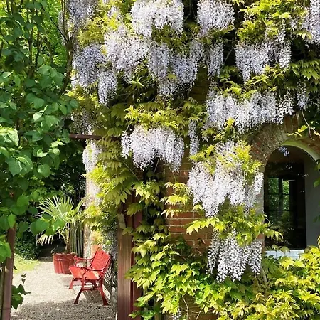 Spacious With Garden *